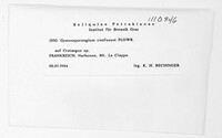 Gymnosporangium confusum image